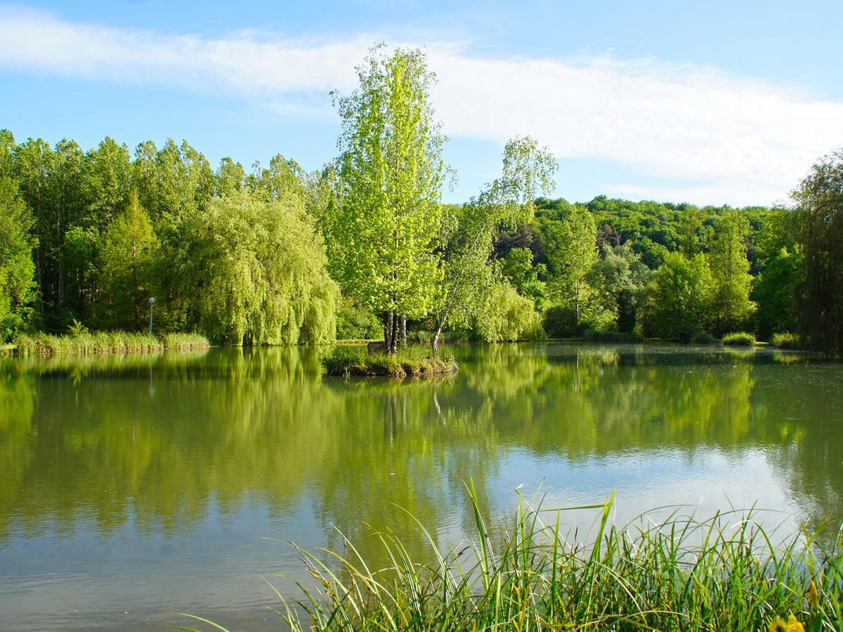 Le Domaine De L'Etang De Sandanet Issac Exterior photo